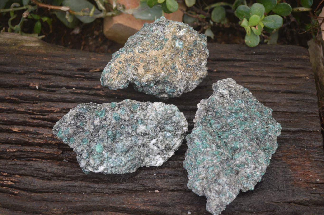 Natural Rare Emerald Mica In Matrix Cobbed Specimens x 3 From Mutoko, Zimbabwe - Toprock Gemstones and Minerals 