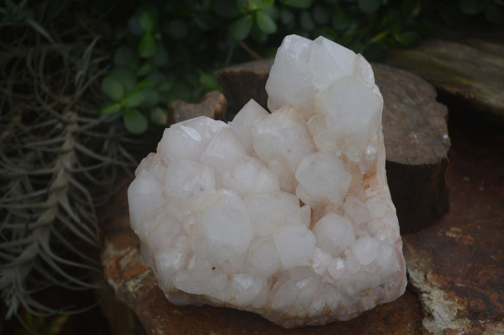Natural Large White Quartz Clusters  x 2 From Madagascar - Toprock Gemstones and Minerals 