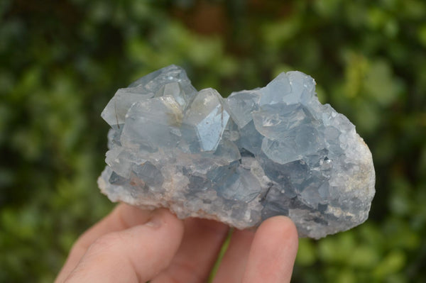 Natural Blue Celestite Crystal Specimens  x 6 From Sakoany, Madagascar - Toprock Gemstones and Minerals 