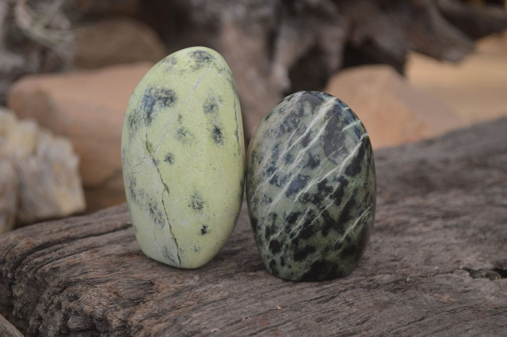 Polished Leopard Stone Free Forms  x 6 From Zimbabwe - Toprock Gemstones and Minerals 