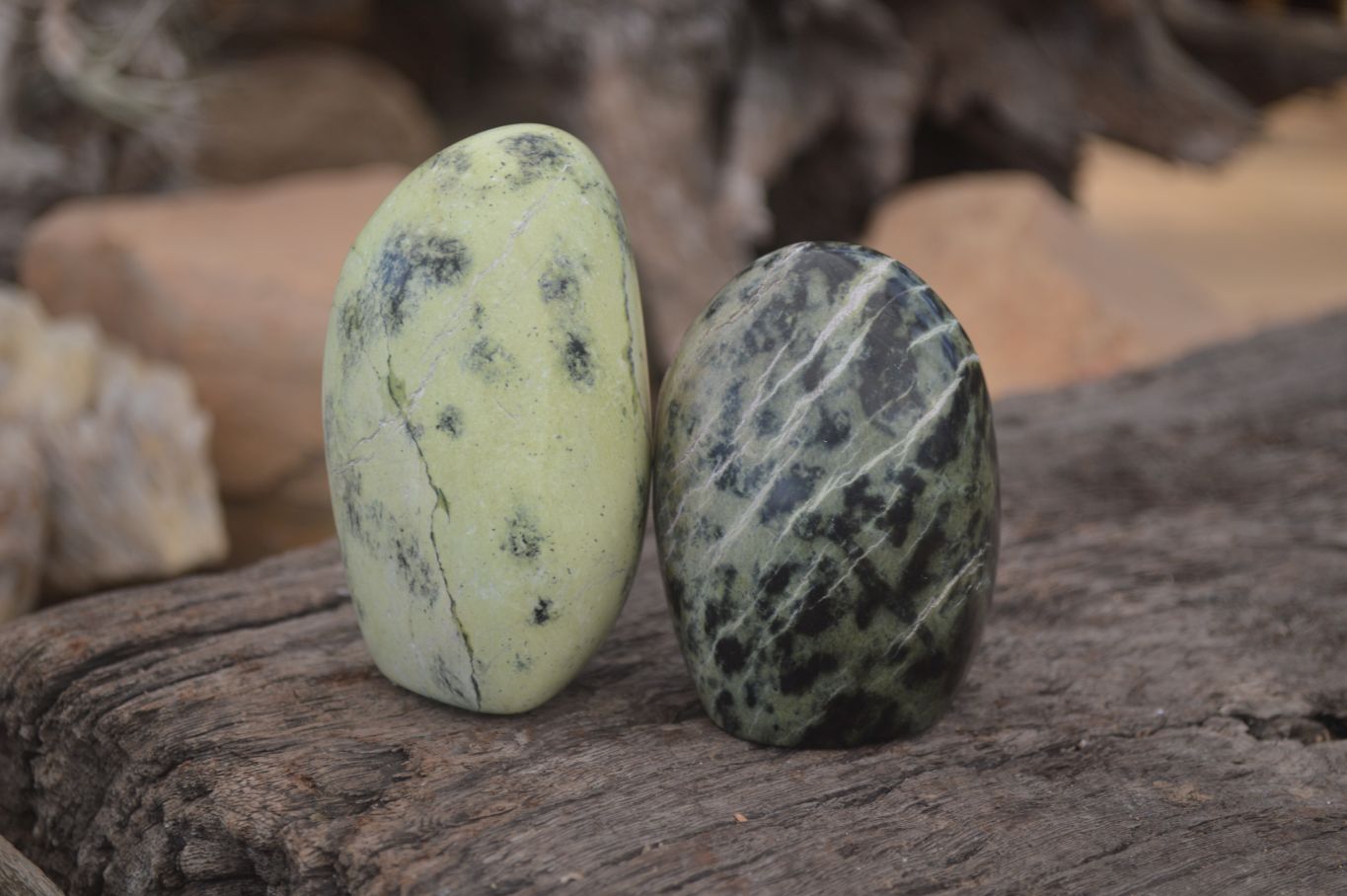 Polished Leopard Stone Free Forms  x 6 From Zimbabwe - Toprock Gemstones and Minerals 