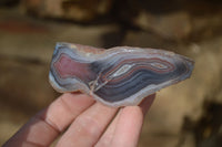 Polished River Agate Nodules  x 6 From Sashe River, Zimbabwe - Toprock Gemstones and Minerals 