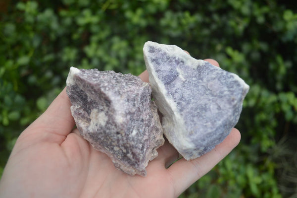 Natural Rough Purple Lepidolite Specimens  x 12 From Namibia - Toprock Gemstones and Minerals 