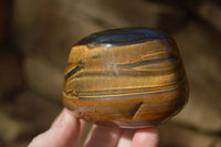 Polished Golden Tigers Eye Free Forms x 4 From Prieska, Northern Cape
