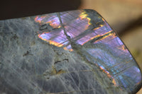 Polished Rare Purple Flash Labradorite Standing Free Forms x 3 From Tulear, Madagascar - Toprock Gemstones and Minerals 
