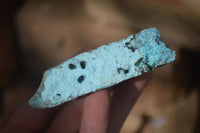 Natural Drusy Coated Chrysocolla & Malachite Dolomite Specimens x 9 From Likasi, Congo - Toprock Gemstones and Minerals 