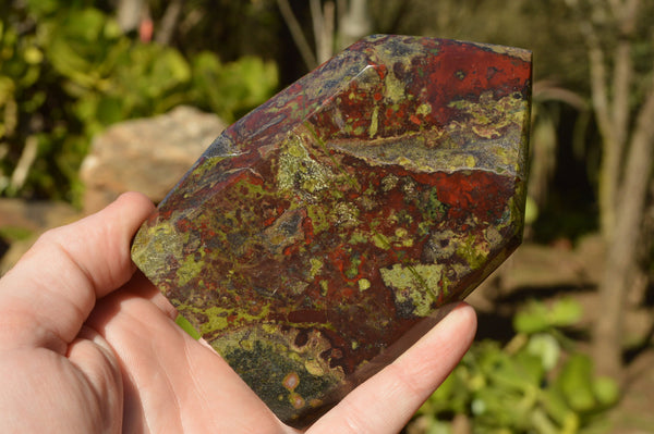 Polished Dragon Bloodstone (Bastite) Crystals  x 3 From Tshipise, South Africa - TopRock