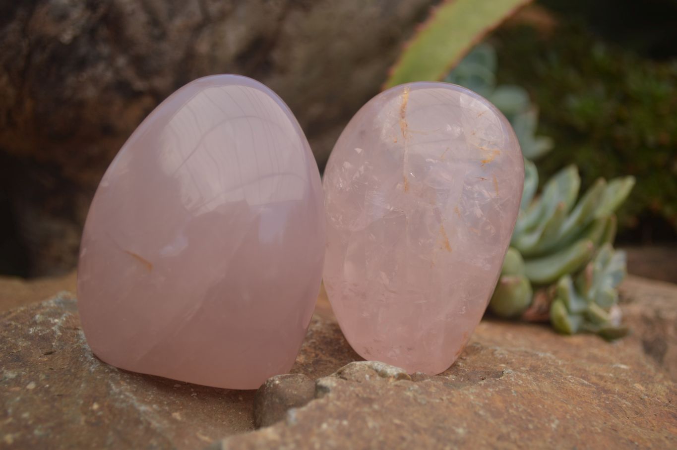 Polished Gemmy Pink Rose Quartz Standing Free Forms  x 6 From Ambatondrazaka, Madagascar - TopRock
