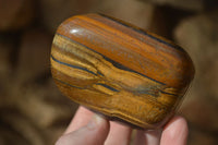 Polished Golden Tigers Eye Free Forms x 4 From Prieska, Northern Cape