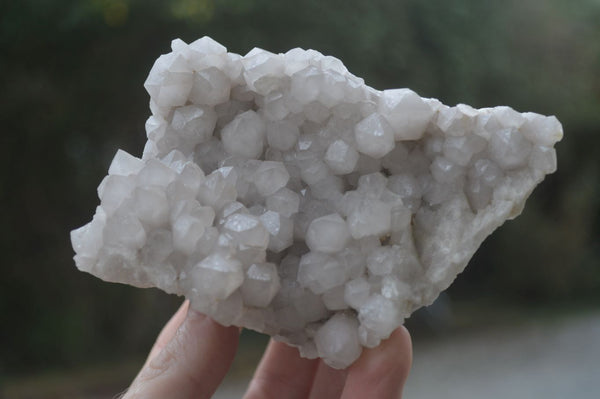 Natural White Quartz Crystal Plates  x 4 From Madagascar