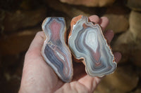 Polished River Agate Nodules  x 6 From Sashe River, Zimbabwe - Toprock Gemstones and Minerals 