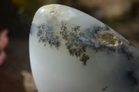 Polished Dendritic Opal Standing Free Forms  x 3 From Moralambo, Madagascar - Toprock Gemstones and Minerals 
