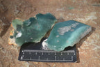 Polished One Side Polished Emerald Mtorolite Plates  x 12 From Zimbabwe - Toprock Gemstones and Minerals 