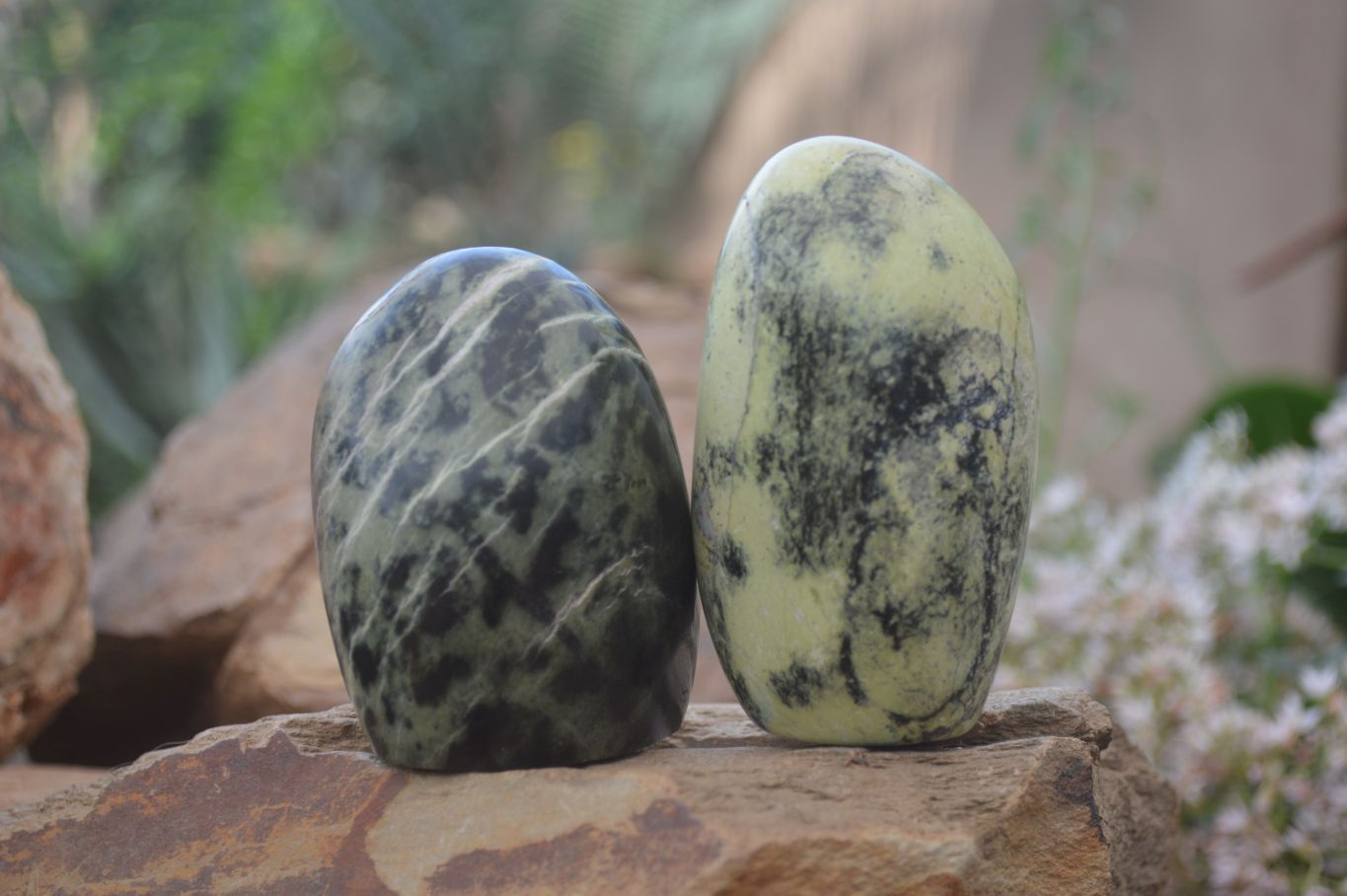 Polished Leopard Stone Free Forms  x 6 From Zimbabwe - Toprock Gemstones and Minerals 