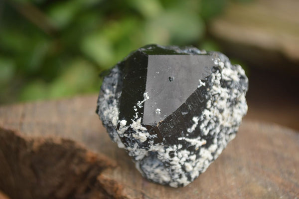Natural Schorl Black Tourmaline On Feldspar & Quartz Matrix  x 12 From Erongo, Namibia - Toprock Gemstones and Minerals 