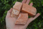 Natural New Sunset Orange Calcite Specimens x 12 From Spitzkop, Namibia - Toprock Gemstones and Minerals 