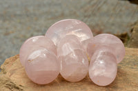 Polished Large Gemmy Pink Rose Quartz Mushrooms  x 5 From Madagascar - TopRock