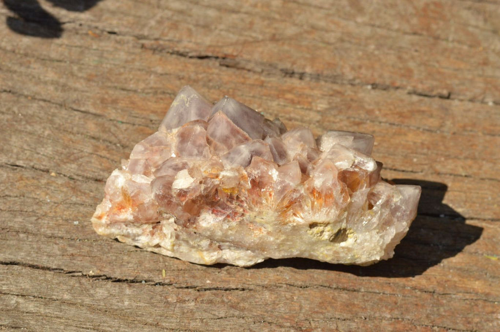 Natural Mixed Selection Of Spirit Cactus Quartz Clusters  x 14 From Boekenhouthoek, South Africa - TopRock