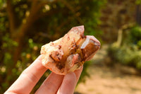 Natural Single Red Hematoid Phantom Quartz Crystals  x 24 From Karoi, Zimbabwe - TopRock