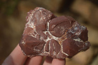 Natural Red Hematoid Quartz Specimens x 12 From Karoi, Zimbabwe - Toprock Gemstones and Minerals 