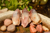 Natural Single Red Hematoid Phantom Quartz Crystals  x 24 From Karoi, Zimbabwe - TopRock