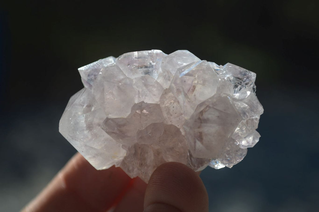 Natural Spirit Cactus Flower Quartz Crystals  x 20 From Boekenhouthoek, South Africa - Toprock Gemstones and Minerals 