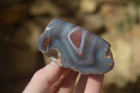 Polished River Agate Nodules  x 6 From Sashe River, Zimbabwe - Toprock Gemstones and Minerals 