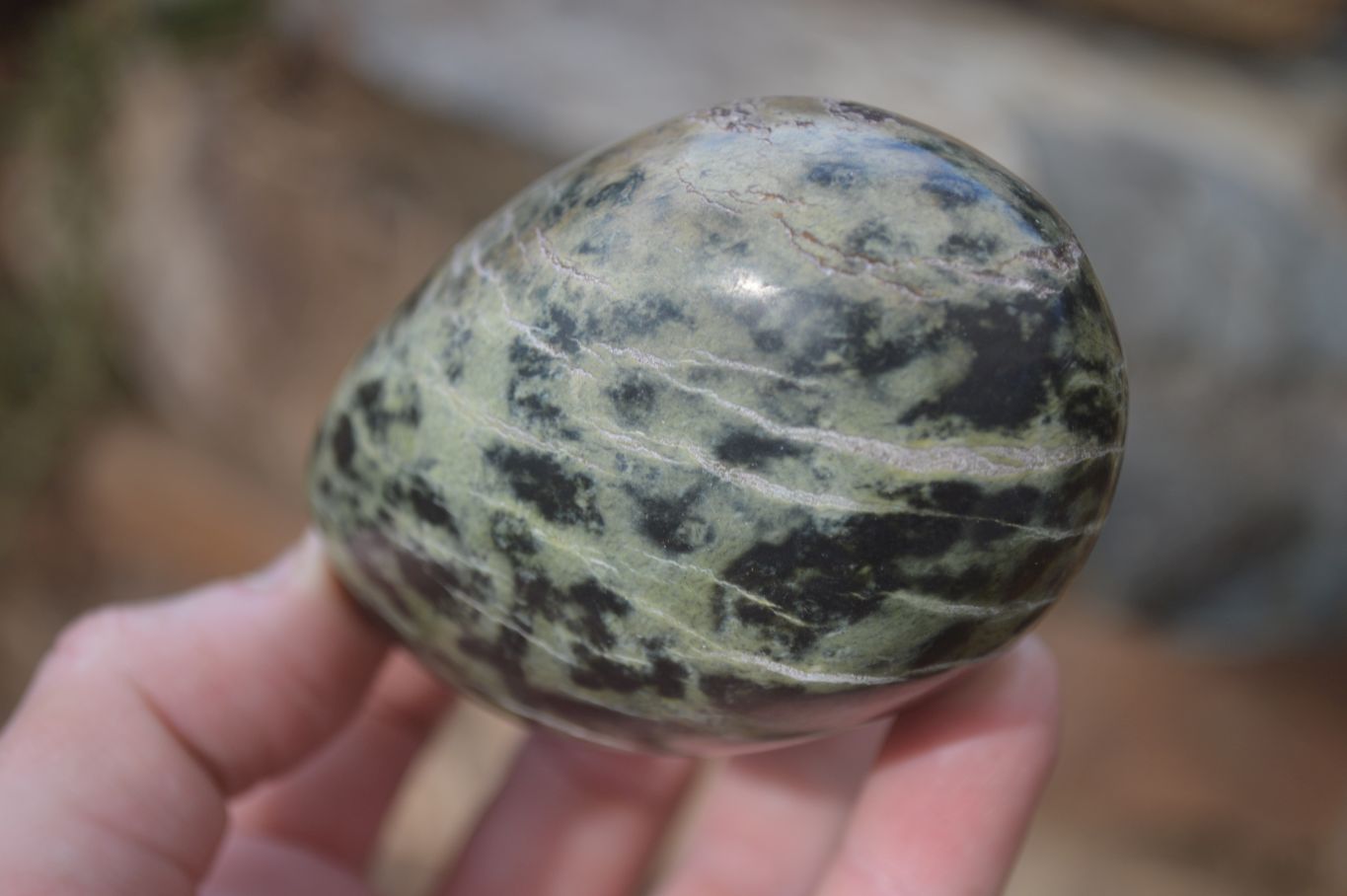 Polished Leopard Stone Free Forms  x 6 From Zimbabwe - Toprock Gemstones and Minerals 