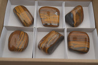 Polished Golden Tigers Eye Free Forms x 6 From Prieska, South Africa - Toprock Gemstones and Minerals 