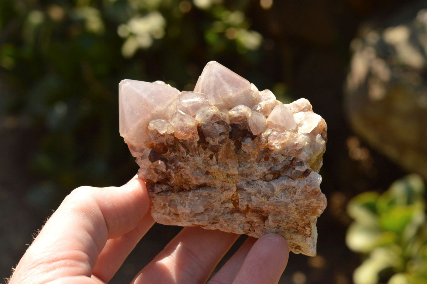 Natural Mixed Selection Of Spirit Cactus Quartz Clusters  x 14 From Boekenhouthoek, South Africa - TopRock