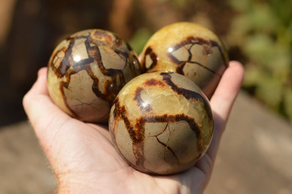 Polished Septarian (Calcite & Aragonite) Spheres x 6 From Mahajanga, Madagascar