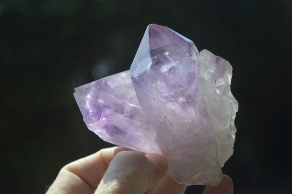 Natural Jacaranda Amethyst Clusters  x 6 From Mumbwa, Zambia - Toprock Gemstones and Minerals 