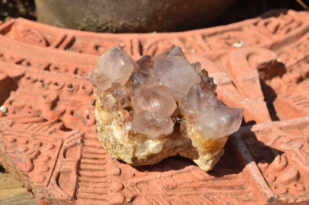 Natural Mixed Selection Of Spirit Cactus Quartz Clusters  x 14 From Boekenhouthoek, South Africa - TopRock