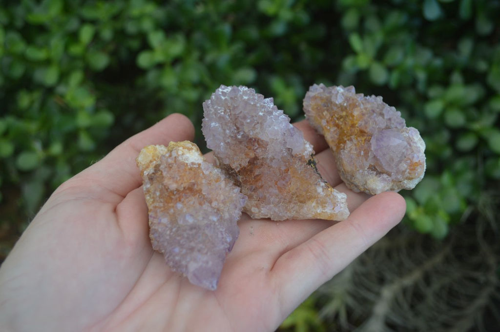 Natural Small Spirit Amethyst Quartz Specimens  x 12 From Boekenhouthoek, South Africa - Toprock Gemstones and Minerals 