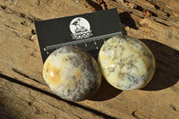 Polished Dendritic Green & White Opal Gallets x 12 From Madagascar - TopRock