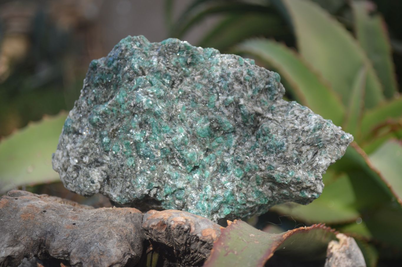 Natural Rare Emerald Mica In Matrix Cobbed Specimens x 3 From Mutoko, Zimbabwe - Toprock Gemstones and Minerals 