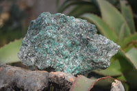 Natural Rare Emerald Mica In Matrix Cobbed Specimens x 3 From Mutoko, Zimbabwe - Toprock Gemstones and Minerals 