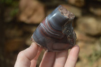Polished River Agate Nodules  x 6 From Sashe River, Zimbabwe - Toprock Gemstones and Minerals 