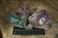 Natural Pink Salrose Cobaltion Dolomite Specimens  x 6 From Kakanda, Congo - Toprock Gemstones and Minerals 