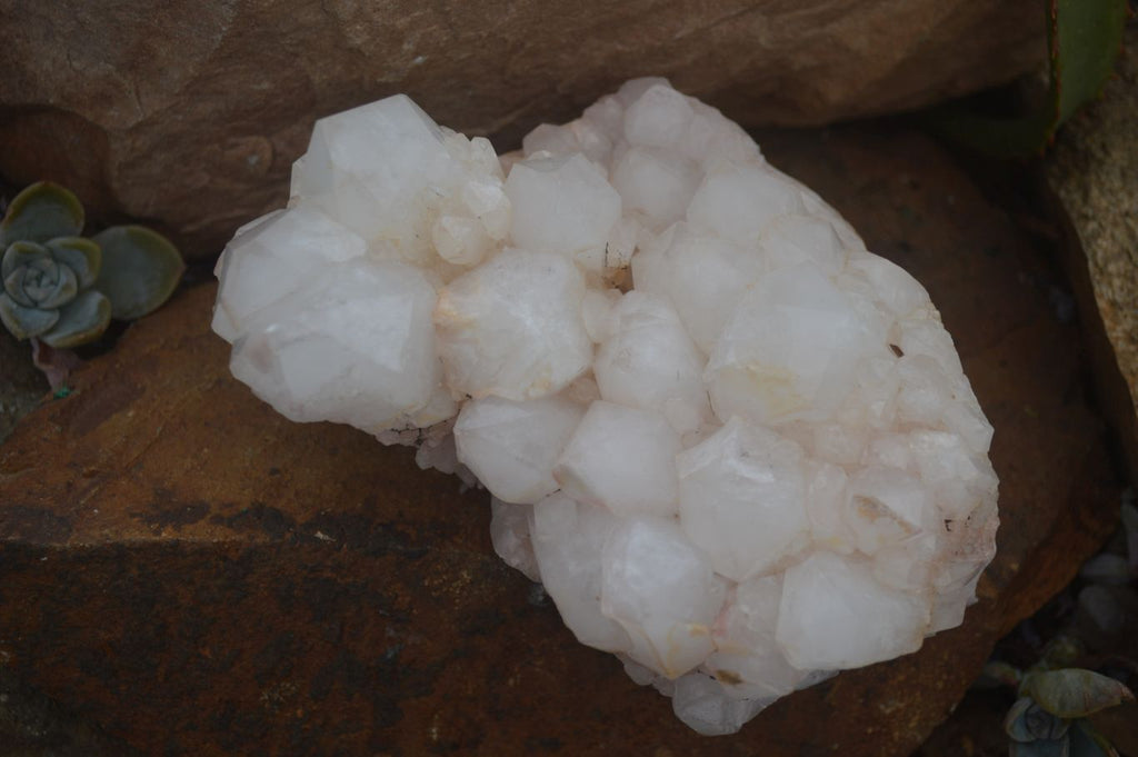 Natural Large White Quartz Clusters  x 2 From Madagascar - Toprock Gemstones and Minerals 