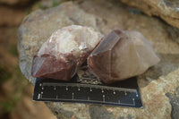 Natural Red Hematoid Quartz Specimens x 12 From Karoi, Zimbabwe - Toprock Gemstones and Minerals 