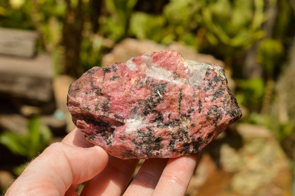 Natural Rough Pink & Black Rhodonite Specimens  x 6 From Zimbabwe - TopRock