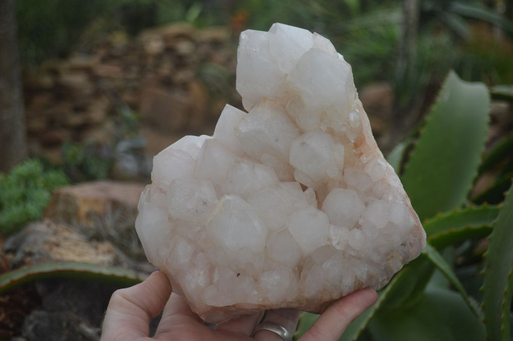 Natural Large White Quartz Clusters  x 2 From Madagascar - Toprock Gemstones and Minerals 