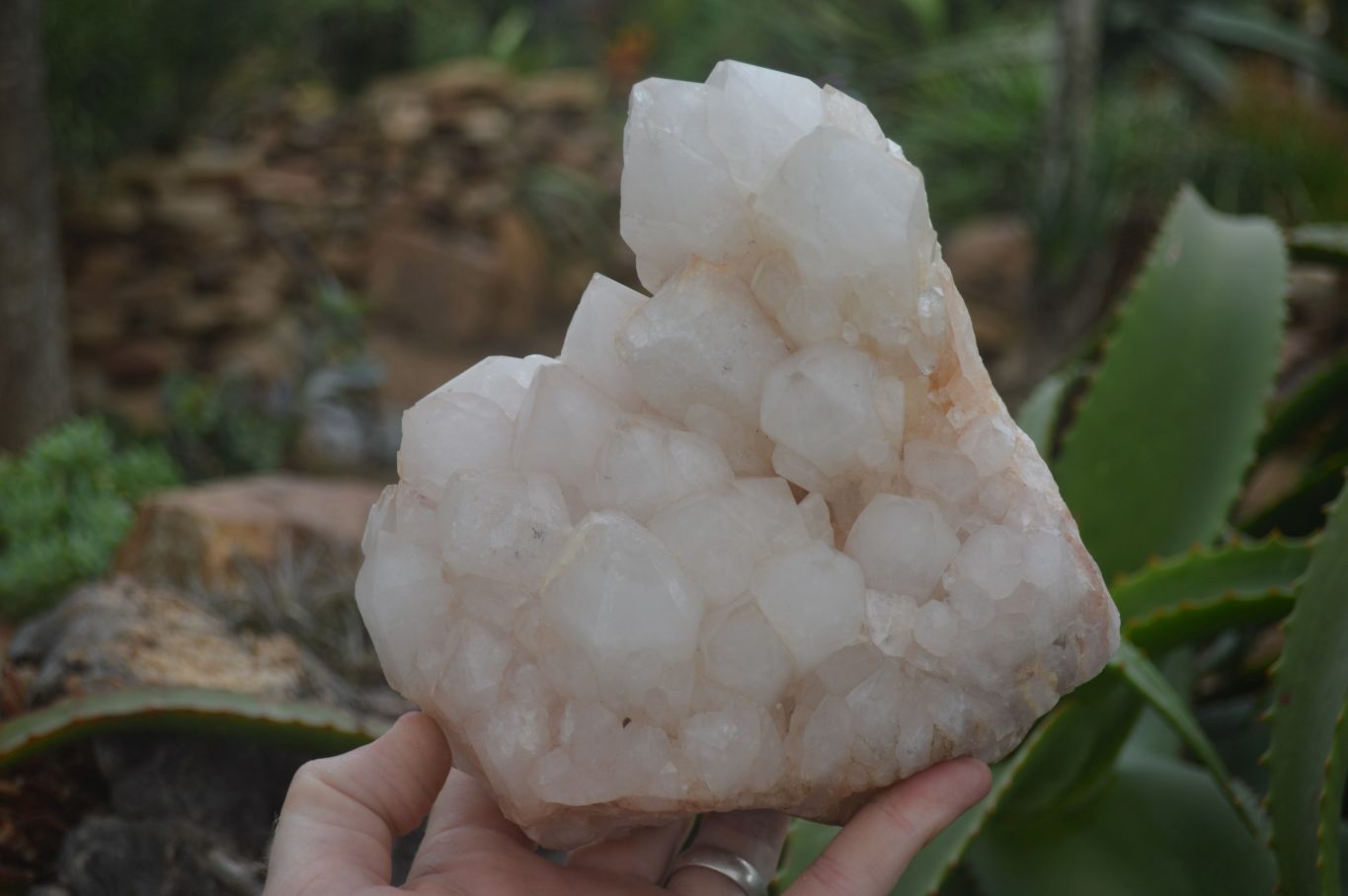 Natural Large White Quartz Clusters  x 2 From Madagascar - Toprock Gemstones and Minerals 