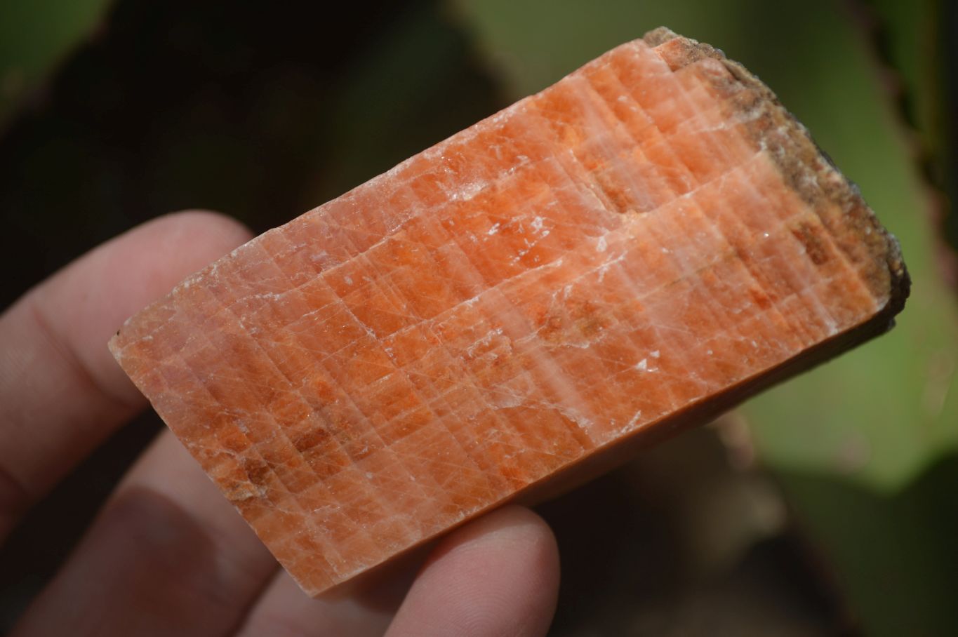 Natural New Sunset Orange Calcite Specimens x 12 From Spitzkop, Namibia - Toprock Gemstones and Minerals 