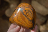 Polished Golden Tigers Eye Free Forms x 4 From Prieska, Northern Cape