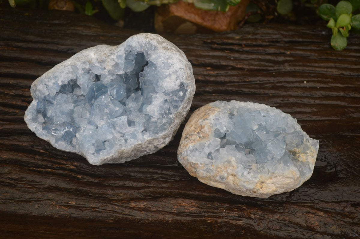 Natural Blue Celestite Crystal Specimens  x 2 From Sakoany, Madagascar - Toprock Gemstones and Minerals 