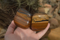 Polished Golden Tigers Eye Free Forms x 6 From Prieska, South Africa - Toprock Gemstones and Minerals 