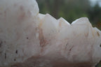Natural Large White Quartz Clusters  x 2 From Madagascar - Toprock Gemstones and Minerals 