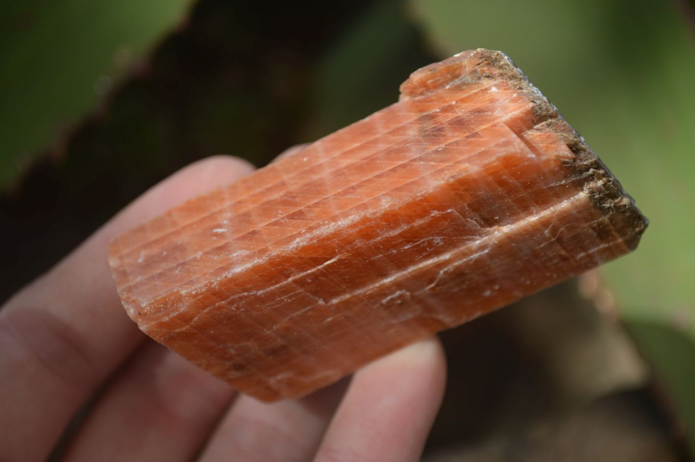 Natural New Sunset Orange Calcite Specimens x 12 From Spitzkop, Namibia - Toprock Gemstones and Minerals 